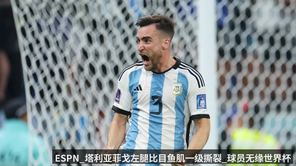 ESPN_塔利亚菲戈左腿比目鱼肌一级撕裂_球员无缘世界杯前几场小组赛 | kaiyun